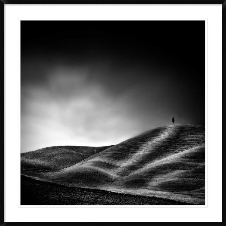 "La Vie Reprendra Au Printemps" Framed Digital Print by Piet Flour, 44x44"