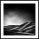 "La Vie Reprendra Au Printemps" Framed Digital Print by Piet Flour, 44x44"