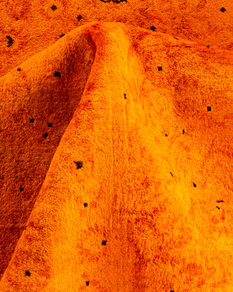 Fine Vibrance, One-of-a-Kind Hand-Knotted Area Rug Orange, 9' 3" x 11' 6"