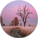 Fairy Autumn Sunrise With Lonely Tree, Landscape Disc Artwork, 23"