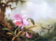 Martin Johnson Heade Orchids and Hummingbirds near a Mountain Lake Canvas Wrap
