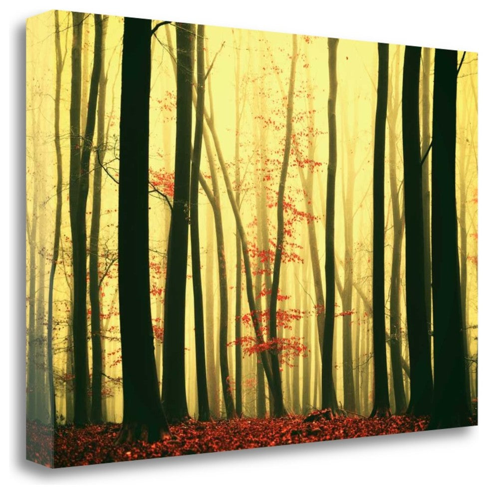 "Red Leaves" By Lars Van De Goor, Giclee Print on Gallery Wrap Canvas
