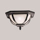 Kichler Salisbury Two Light Outdoor Ceiling Mount 9848BK