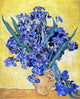 Vincent Van Gogh A Still Life With Irises, 20"x25" Wall Decal