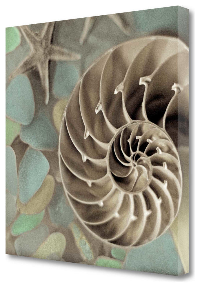 14" Snailshell and Seaglass 4 Giclee Wrap Canvas Wall Art