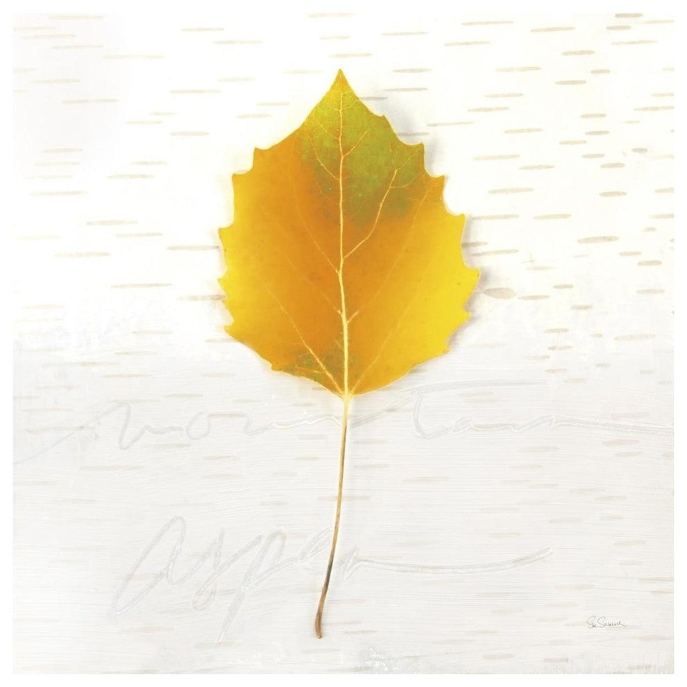 "Autumn Colors III" Digital Paper Print by Sue Schlabach, 38"x38"