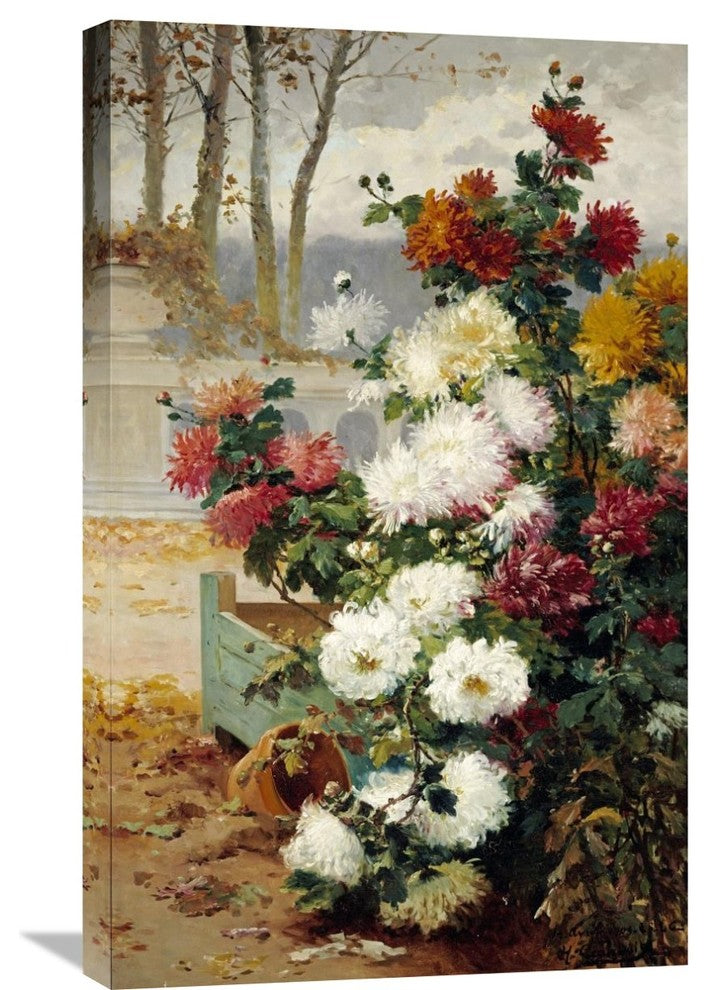 "Chrysanthemums In a Walled Garden" Artwork