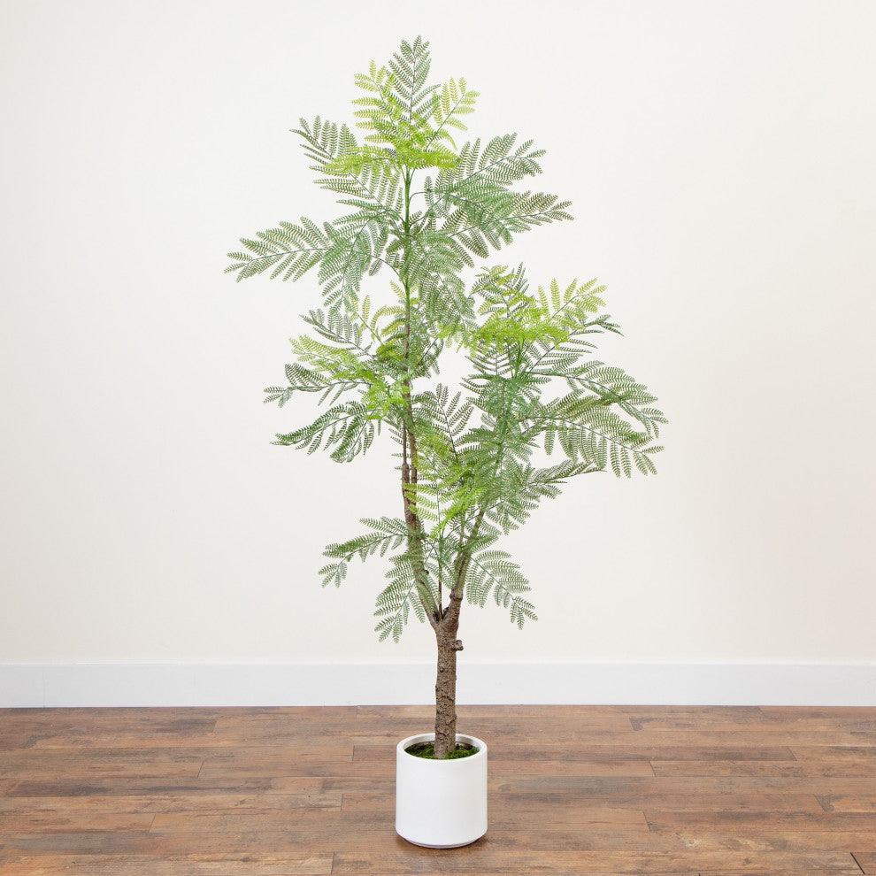 6ft. Artificial Minimalist Jacaranda Tree, White Decorative Planter