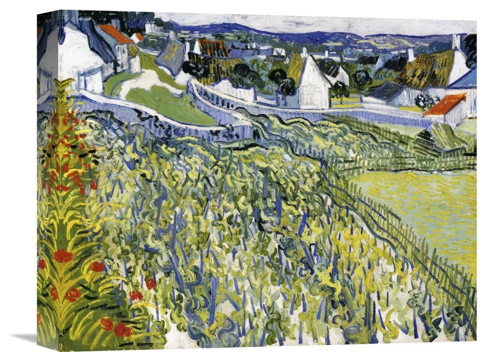 "Vineyards Auvers" Stretched Canvas Giclee by Vincent Van Gogh, 16"x13"