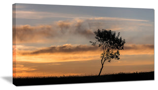 "Lonely Tree Silhouette Rightwards" Canvas Print