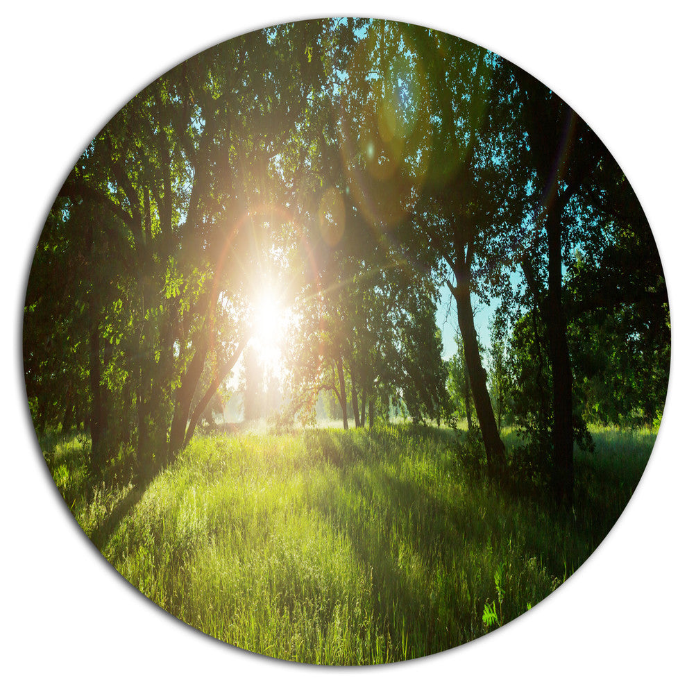 Sunny Day In Green Forest Meadow, Landscape Round Wall Art, 11"