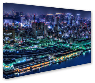 Tomoshi Hara 'Tokyo' Canvas Art, 22x32