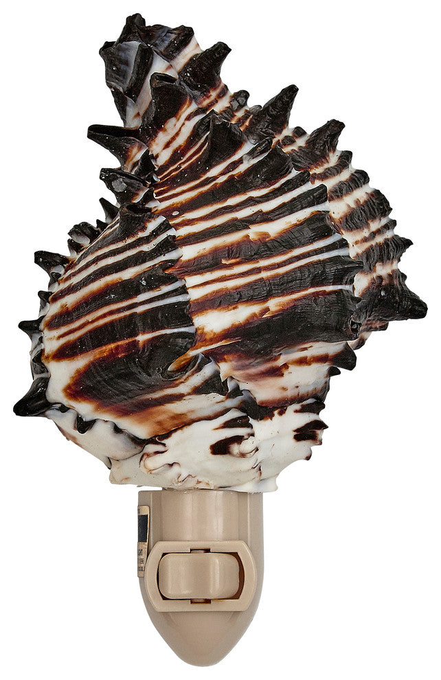 Black Murex Shell Night Light