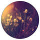 Vintage Dandelion Meadow Photo, Modern Flower Round Wall Art, 23"