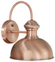 Franklin 10" Outdoor Wall Light