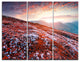 "Blooming Fields in Carpathian" Photo Wall Art, 3 Panels, 36"x28"