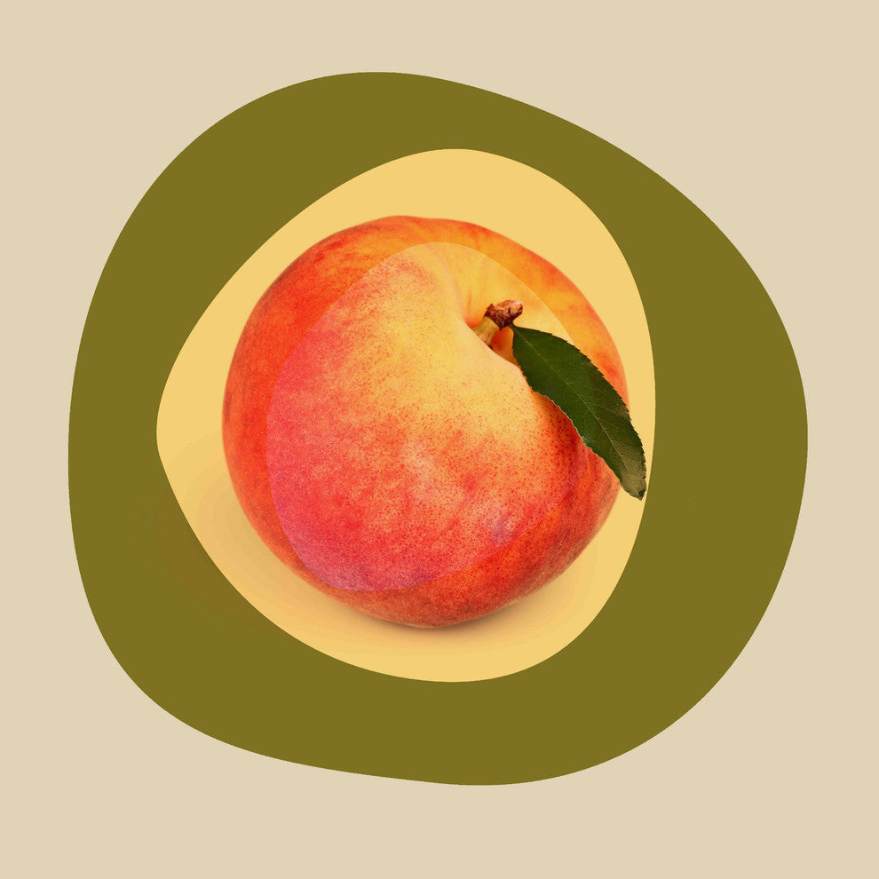 "September Peach" Painting Print on Canvas by Irena Orlov