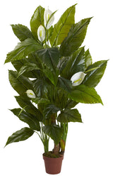 4.5' Spathyfillum Real Touch Plant