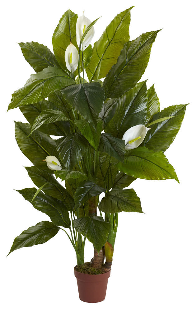 Full product on a uniform white background, front-facing view, no text or diagrams; matches primary product criteria.