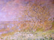 Claude Oscar Monet Spring, 21"x28" Wall Decal Print