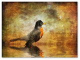 'The Robin' Canvas Art by Lois Bryan
