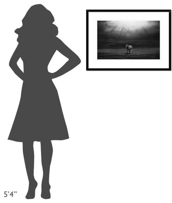 "Morning Appearance" Framed Digital Print by Peter Svoboda, 30x21"