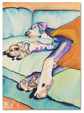 Pat Saunders-White 'Sweet Sleep' Canvas Art, 35"x47"