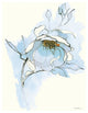"Carols Roses V Blue" Digital Paper Print by Shirley Novak, 24"x30"
