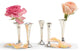 Two's Company Bagatelles Set of 5 Single Stem Silver-Plated Brass Vases