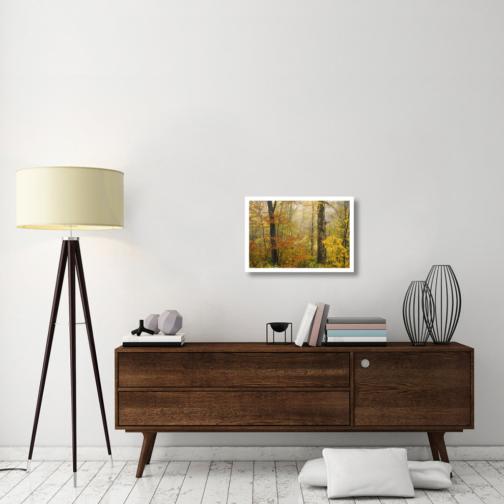 "Mixed deciduous forest in autumn, Mill Brook, Vermont" Paper Art, 26"x18"