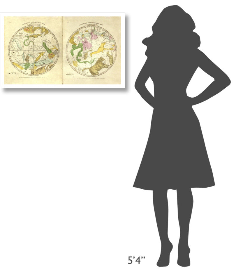 "Circumpolar Map for each Month of the Year, 1835" Paper Art, 32"x19"