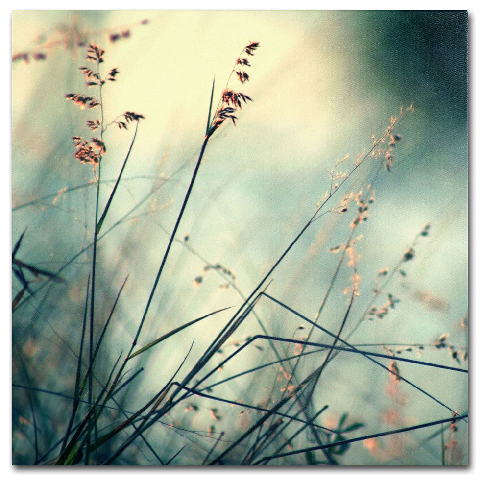 'About Hope' Canvas Art by Beata Czyzowska Young