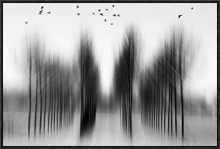 "Tree Architecture" Framed Canvas Giclee by Roswitha Schleicher-Schwarz, 31x21"