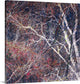 "Tracery I" Wrapped Canvas Art Print, 35"x35"x1.5"