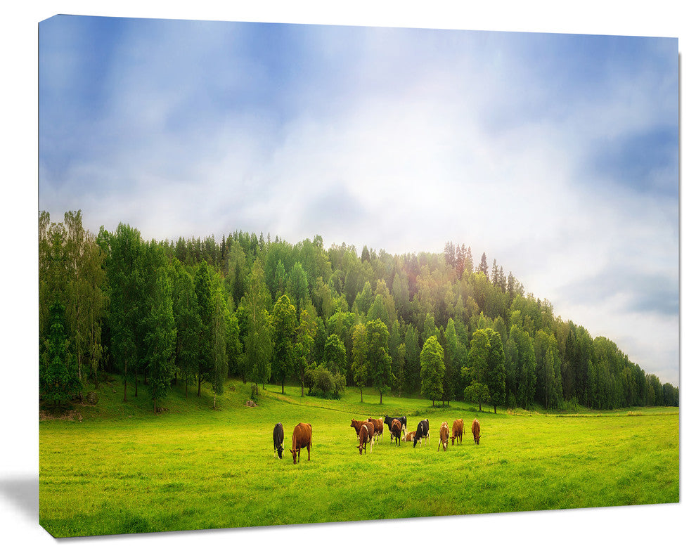 Cows on Field Panorama, Landscape Canvas Art Print, 60x40