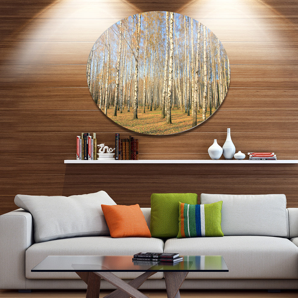 Autumn Birch Grove In Sunlight, Modern Forest Round Metal Wall Art, 23"