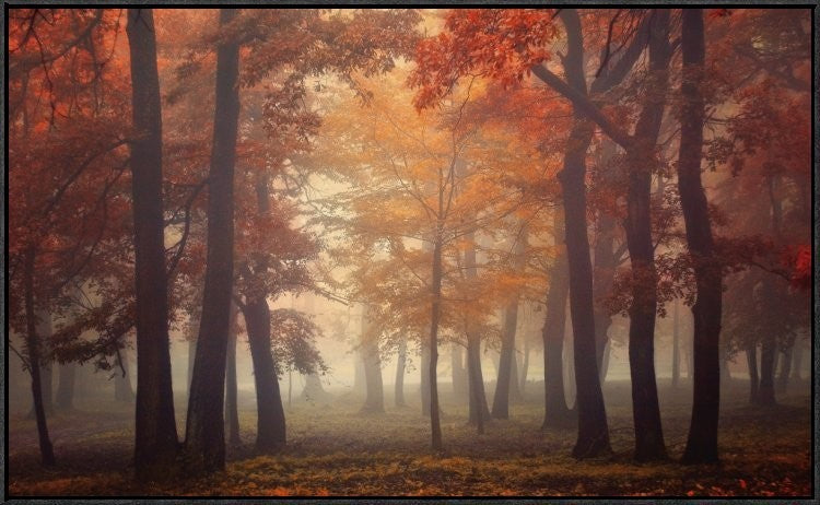 "Feel" Framed Canvas Giclee by Ildiko Neer, 37x23"