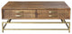 Brown and Gold Storage Coffee Table