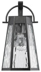 CHLOE Lighting ALEXA 1-Light Textured Black Outdoor Wall Sconce 12"