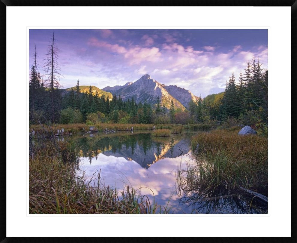 Mount Lorette and Spruce Trees Reflected In Lake, Alberta, Canada, 38"x30"