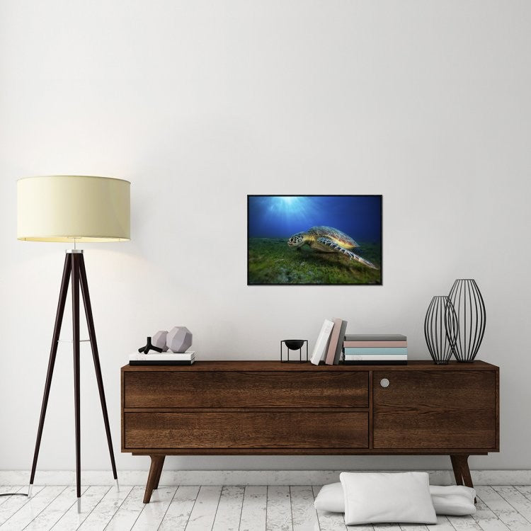 "Green Turtle" Framed Canvas Giclee by Barathieu Gabriel, 31x21"