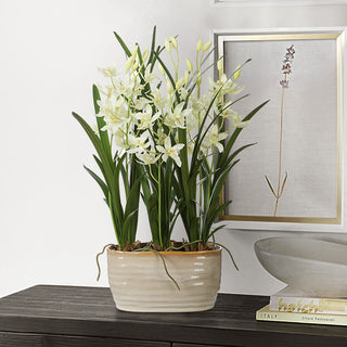 Uttermost Ariana Orchid Planter