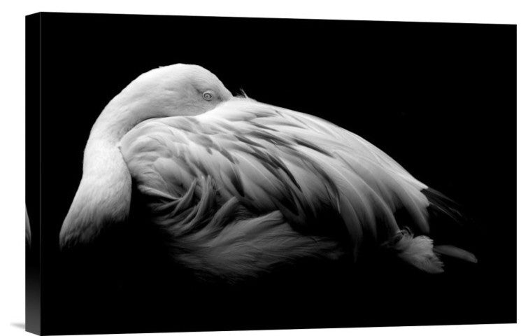 "Be Me" Stretched Canvas Giclee by Summer Ice, 18x12"