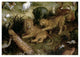 "The Land of Paradise (Detail)" Paper Print by Jan Brueghel the Elder, 32"x23"