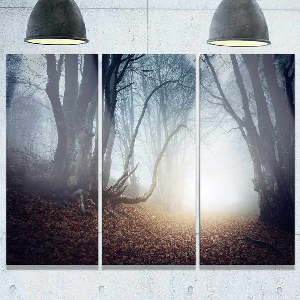 "Magical Trees in Mysterious Forest" Forest Metal Wall Art, 3 Panels, 36"x28"