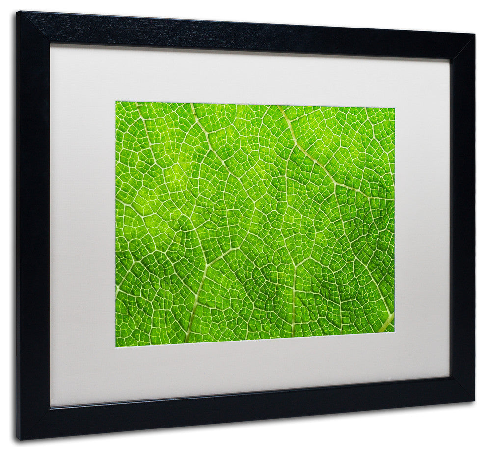 Cora Niele ''Leaf Texture VII'' Matted Framed Art