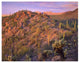 "Panther, Safford Peaks covered, Saguaro, Teddybear Cholla" Paper Art, 34"x26"