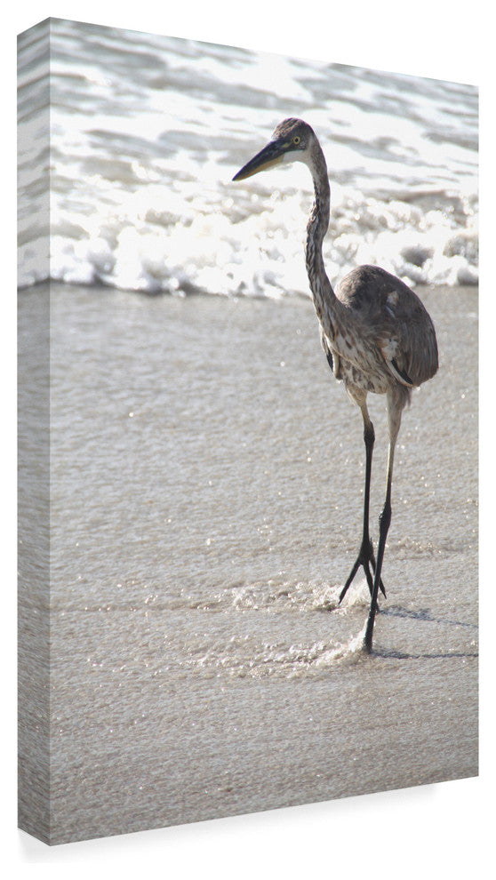 "Great Blue Heron Beach" by Robert Michaud, Canvas Art