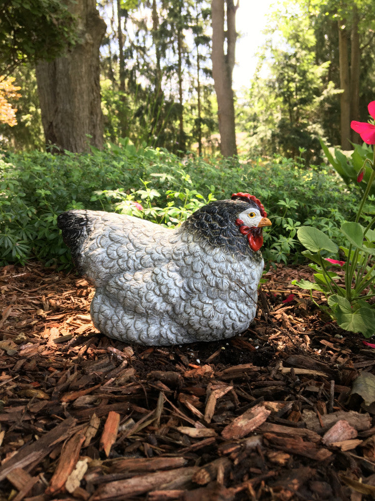 9" Lying Sussex Chicken