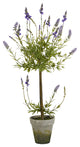 34" Lavender Single Ball Topiary Artificial Tree